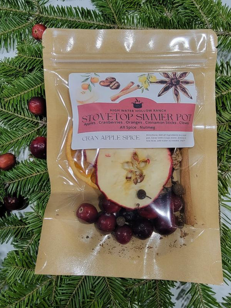 Winter Collection Simmer Pot Kits - Perfect for Gifts & Holiday Scents Nontoxic Home Air Freshener