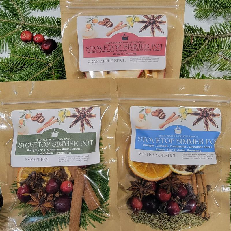 Winter Collection Simmer Pot Kits - Perfect for Gifts & Holiday Scents Nontoxic Home Air Freshener