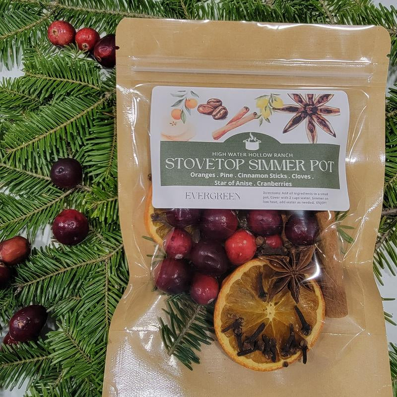 Winter Collection Simmer Pot Kits - Perfect for Gifts & Holiday Scents Nontoxic Home Air Freshener