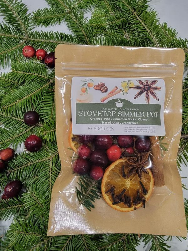 Winter Collection Simmer Pot Kits - Perfect for Gifts & Holiday Scents Nontoxic Home Air Freshener