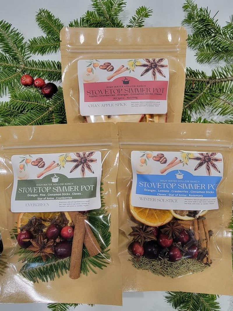 Winter Collection Simmer Pot Kits - Perfect for Gifts & Holiday Scents Nontoxic Home Air Freshener