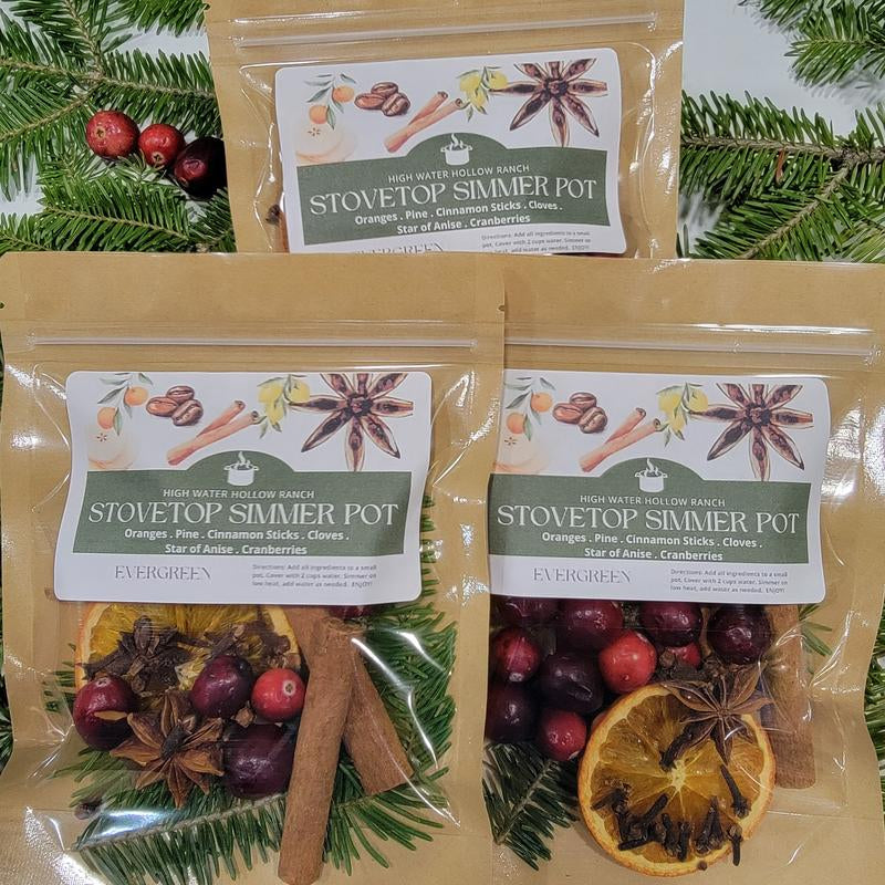 Winter Collection Simmer Pot Kits - Perfect for Gifts & Holiday Scents Nontoxic Home Air Freshener